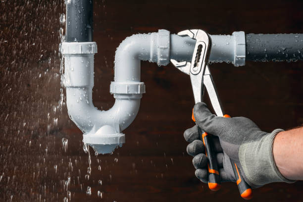 Professional Plumbing technician working in Lampe, MO